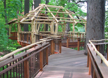 Lookout Loft, the largest of Longwood’s treehouses, is accessible by wheelchair.