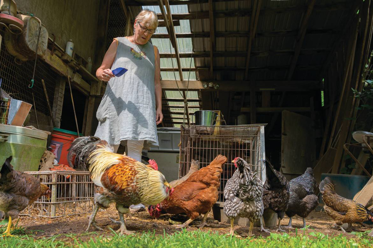 This Kennett Square Family Gives Tips on Housing Backyard Chickens