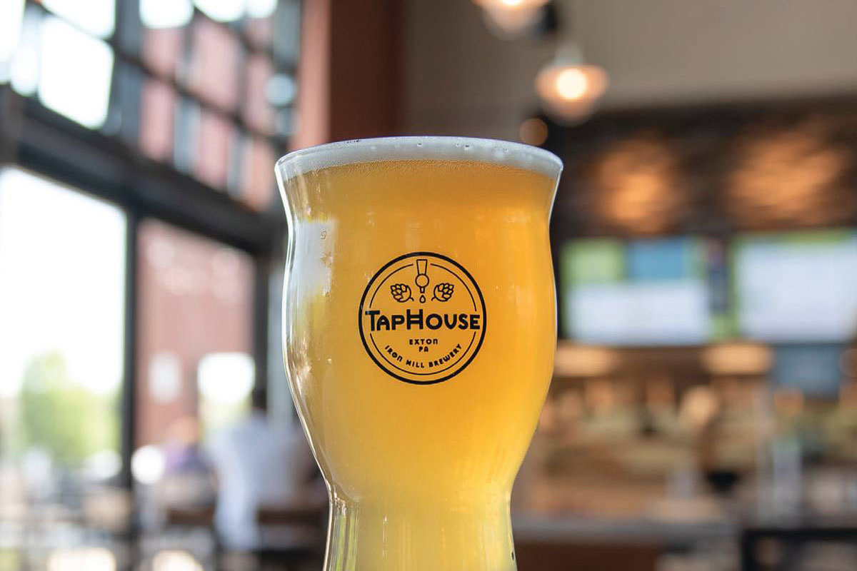 Iron Hill Brewery A Taphouse and Canning Operation in Exton