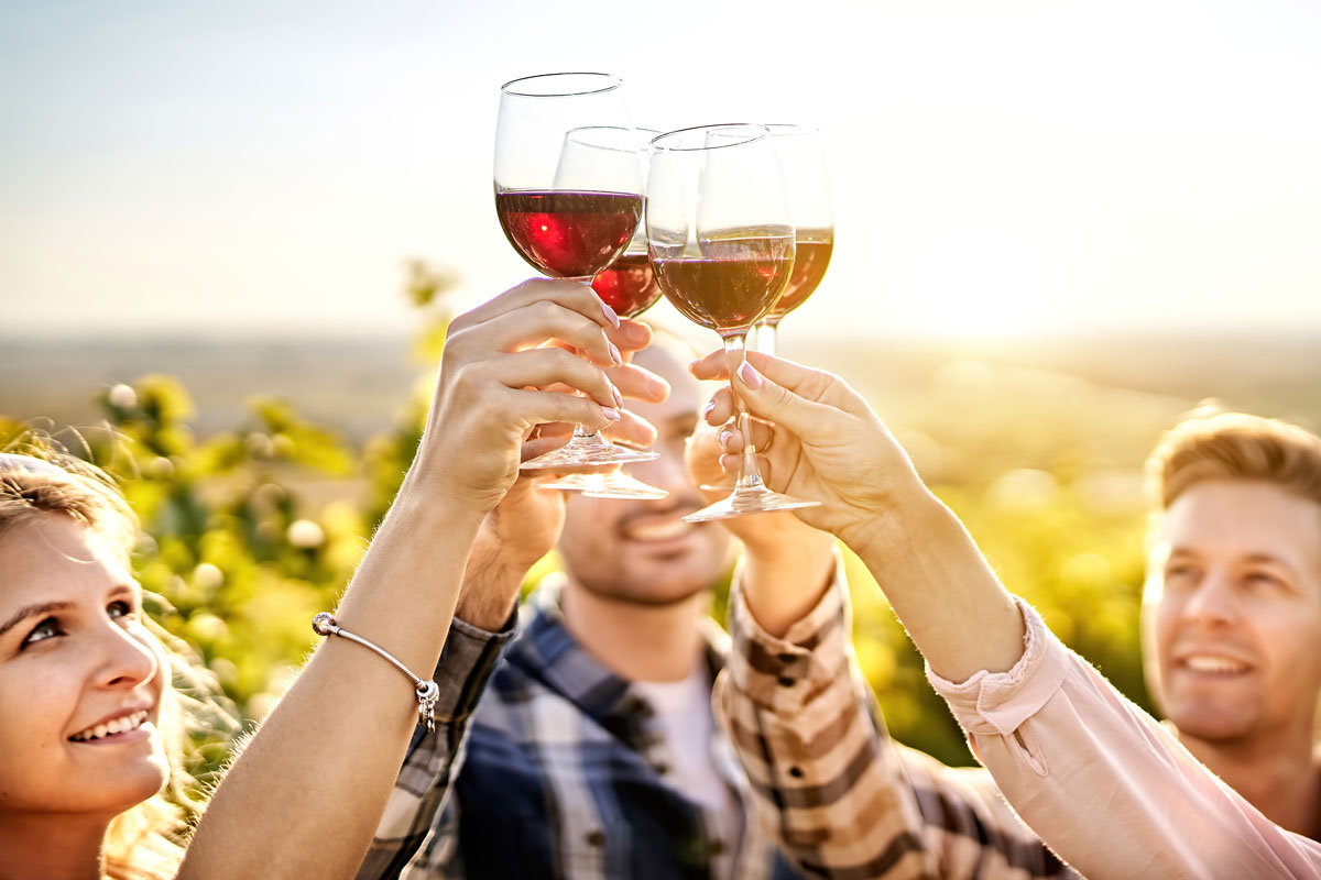 Main Line Sips: A Guide to the Region’s Wineries