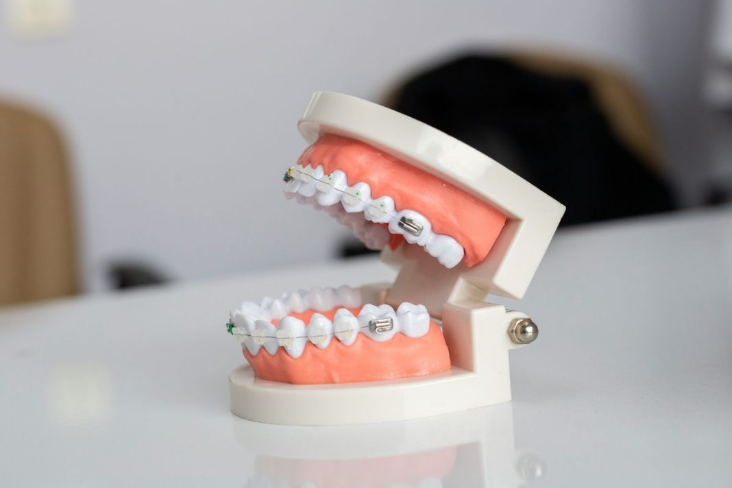 top dentists 2024