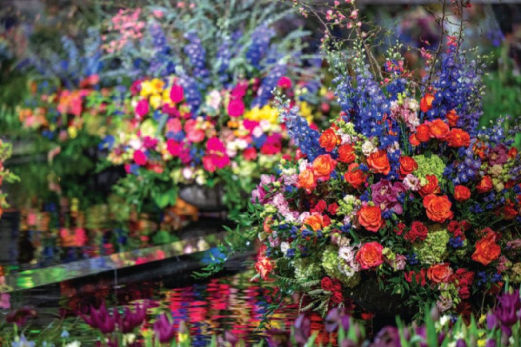 flowers