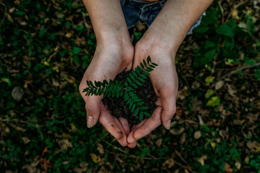 earth day