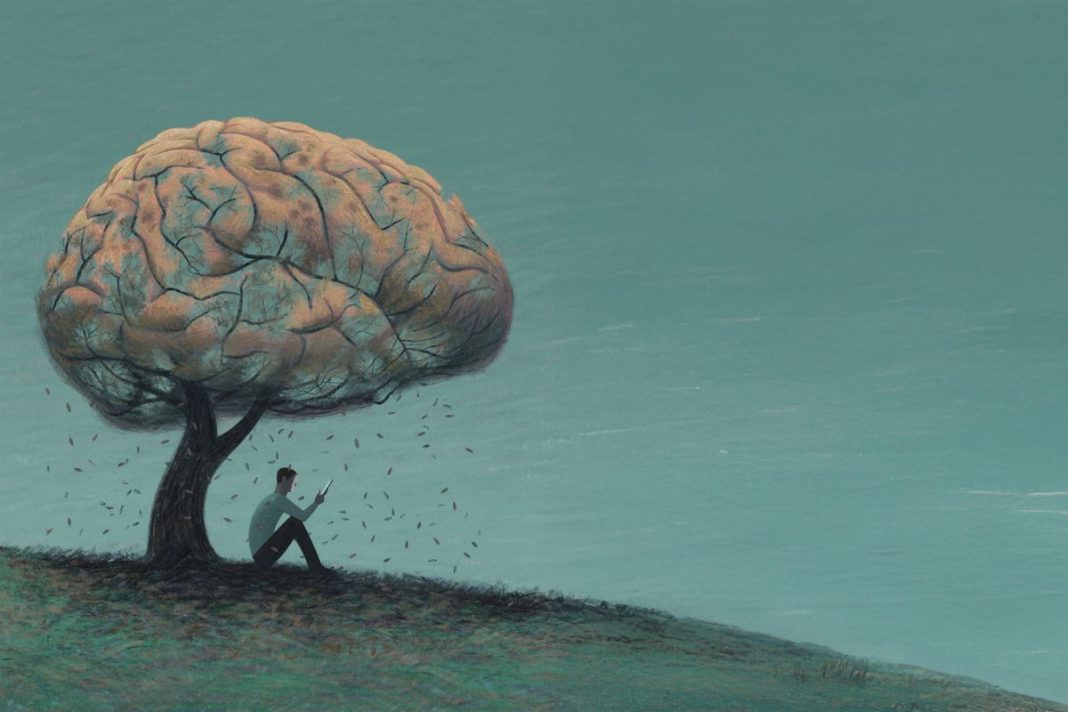 Brain rot