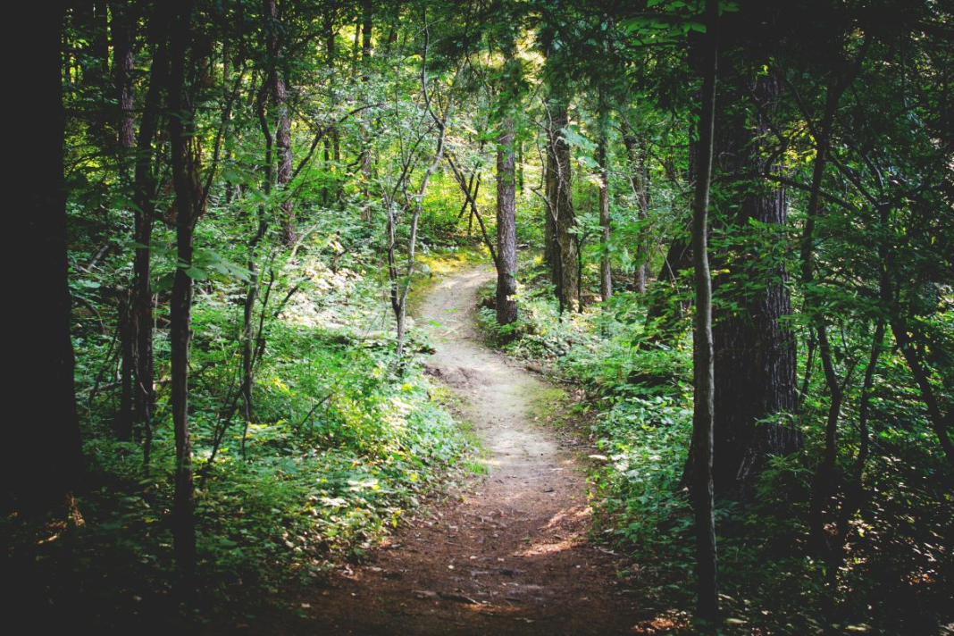 hiking trail