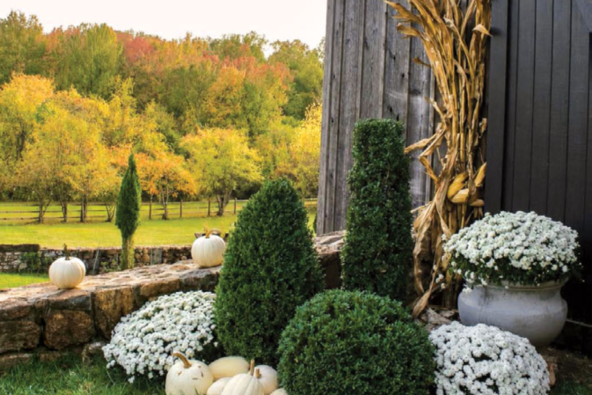 11 Festive October Events Around the Main Line